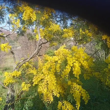 Gasphouse Castellana Grotte