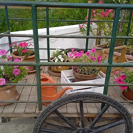 Gasphouse * Castellana Grotte