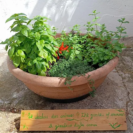 Gasphouse Semesterbostad