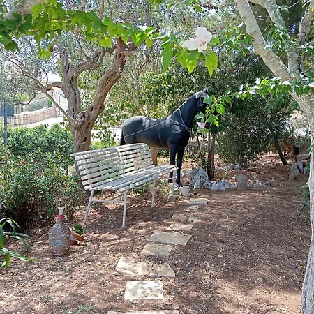 Gasphouse Semesterbostad